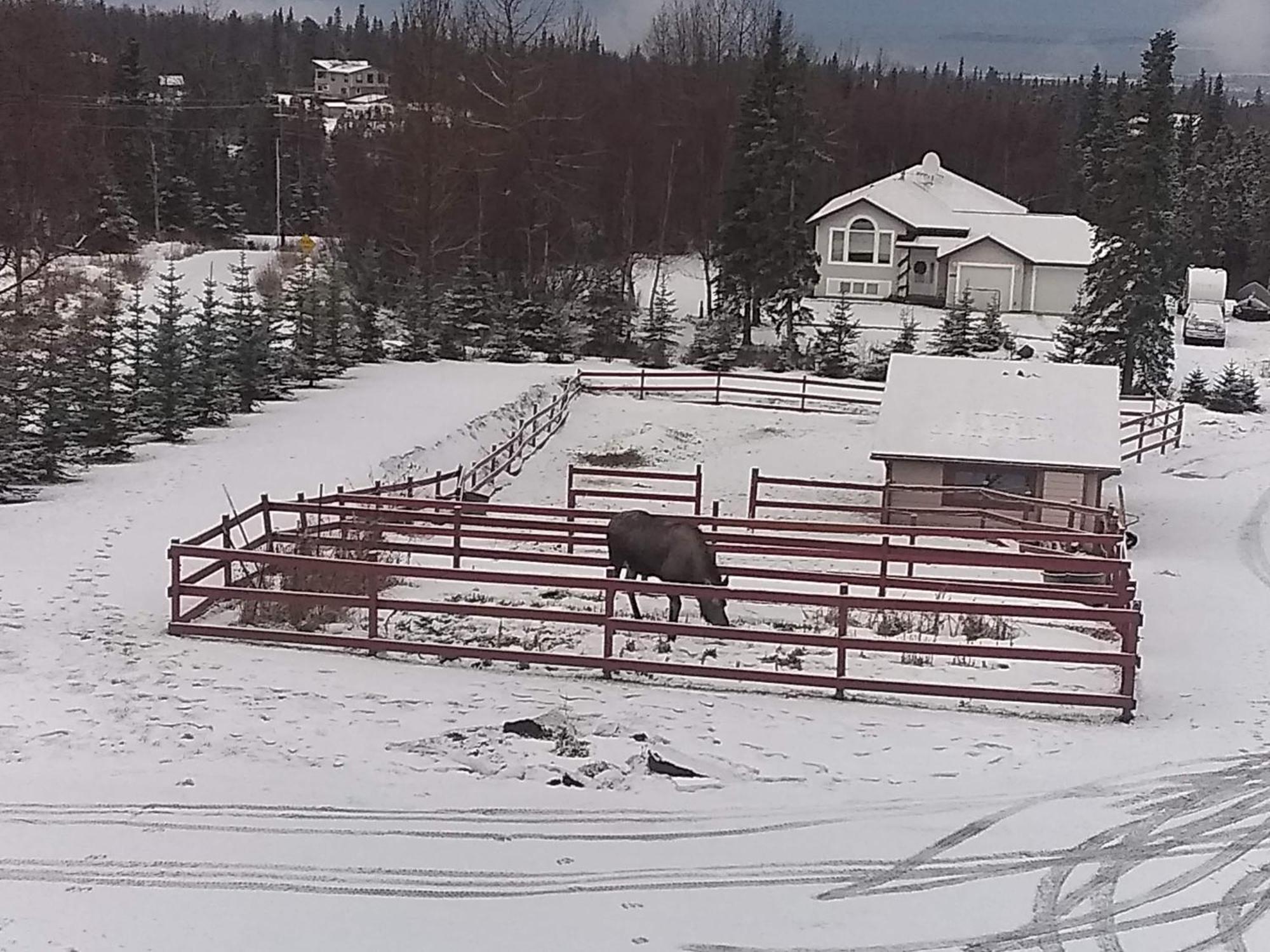 Alaska Sundance Retreat Bed & Breakfast Anchorage Exterior foto